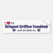 Amo mi Briquet Griffon Vendeen (el perro femenino) Etiqueta De Parachoque
