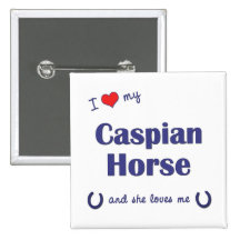 Amo mi caballo caspio (el caballo femenino) pin