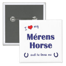 Amo mi caballo de Merens (el caballo masculino) Pins
