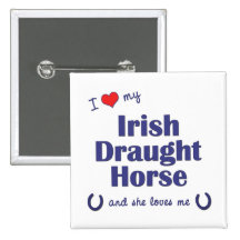 Amo mi caballo de proyecto irlandés (el caballo fe pin