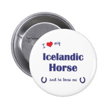 Amo mi caballo islandés (el caballo masculino) pin