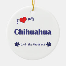 Amo mi chihuahua (el perro femenino) adorno