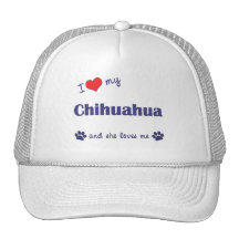 Amo mi chihuahua (el perro femenino) gorro