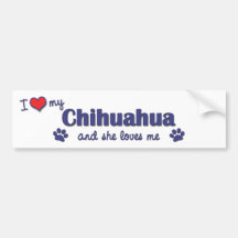 Amo mi chihuahua (el perro femenino) etiqueta de parachoque