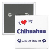 Amo mi chihuahua (el perro femenino) pin