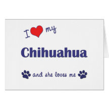 Amo mi chihuahua (el perro femenino) tarjeton