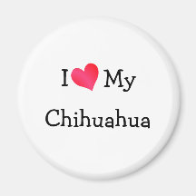 Amo mi chihuahua iman