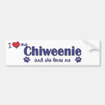 Amo mi Chiweenie (el perro femenino) Etiqueta De Parachoque