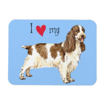 Amo mi cocker spaniel inglés iman 