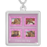 Amo mi collar del perro