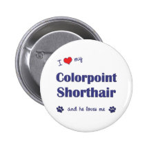Amo mi Colorpoint Shorthair (el gato masculino) Pins