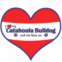 Amo mi dogo de Catahoula (el perro femenino) Esculturas Fotograficas