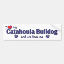 Amo mi dogo de Catahoula (el perro femenino) Etiqueta De Parachoque
