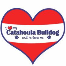 Amo mi dogo de Catahoula (el perro masculino) Esculturas Fotográficas