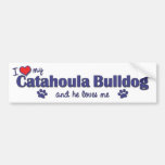 Amo mi dogo de Catahoula (el perro masculino) Pegatina De Parachoque