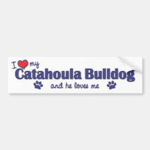 Amo mi dogo de Catahoula (el perro masculino) Pegatina De Parachoque