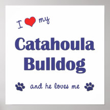 Amo mi dogo de Catahoula (el perro masculino) Posters