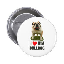 Amo mi dogo pins