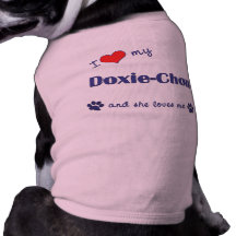 Amo mi Doxie-Chon (el perro femenino) Ropa De Perros
