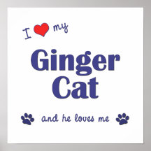 Amo mi gato del jengibre (el gato masculino) poster