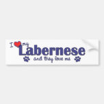 Amo mi Labernese (los perros múltiples) Etiqueta De Parachoque