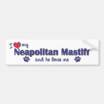 Amo mi mastín napolitano (el perro masculino) etiqueta de parachoque