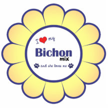 Amo mi mezcla de Bichon (el perro femenino) Esculturas Fotográficas