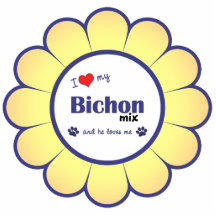 Amo mi mezcla de Bichon (el perro masculino) Escultura Fotográfica