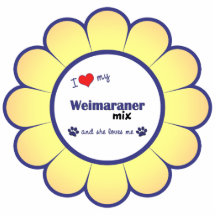 Amo mi mezcla de Weimaraner (el perro femenino) Escultura Fotografica