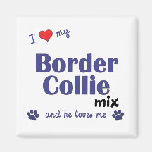 Amo mi mezcla del border collie (el perro masculin imanes de nevera