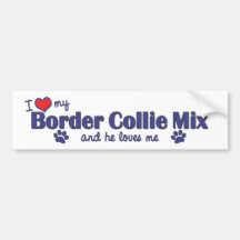 Amo mi mezcla del border collie (el perro masculin pegatina de parachoque