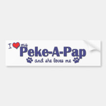 Amo mi Peke-UNO-Pap (el perro femenino) Pegatina De Parachoque
