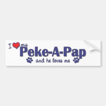 Amo mi Peke-UNO-Pap (el perro masculino) Etiqueta De Parachoque