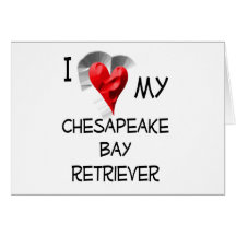 Amo mi perro perdiguero de bahía de Chesapeake Tarjeta