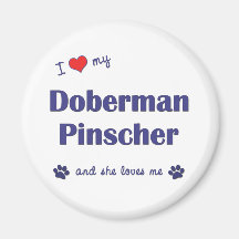 Amo mi Pinscher del Doberman (el perro femenino) Imán De Frigorífico