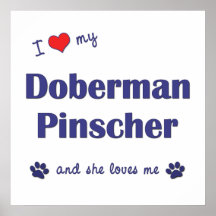 Amo mi Pinscher del Doberman (el perro femenino) Poster