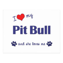Amo mi pitbull (el perro femenino) tarjeta postal