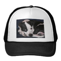 ¡Amo mi pitbull! Gorras