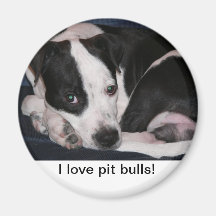 ¡Amo mi pitbull! Iman Para Frigorífico