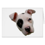 Amo mi pitbull tarjeta