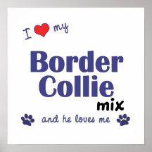 Amo mi poster de la mezcla del border collie (perr