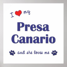 Amo mi Presa Canario (el perro femenino) Posters