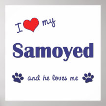 Amo mi samoyedo (el perro masculino) poster