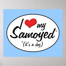 Amo mi samoyedo (es un perro) poster
