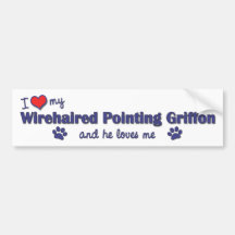 Amo mi señalar Griffon Wirehaired (el perro mascul Pegatina De Parachoque
