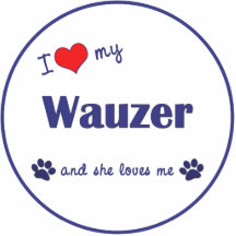 Amo mi Wauzer (el perro femenino) Esculturas Fotograficas