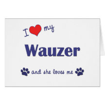 Amo mi Wauzer (el perro femenino) Felicitación