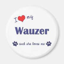 Amo mi Wauzer (el perro femenino) Iman