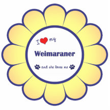 Amo mi Weimaraner (el perro femenino) Escultura Fotografica