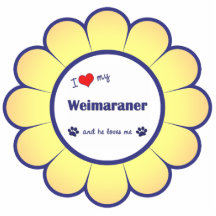 Amo mi Weimaraner (el perro masculino) Esculturas Fotograficas
